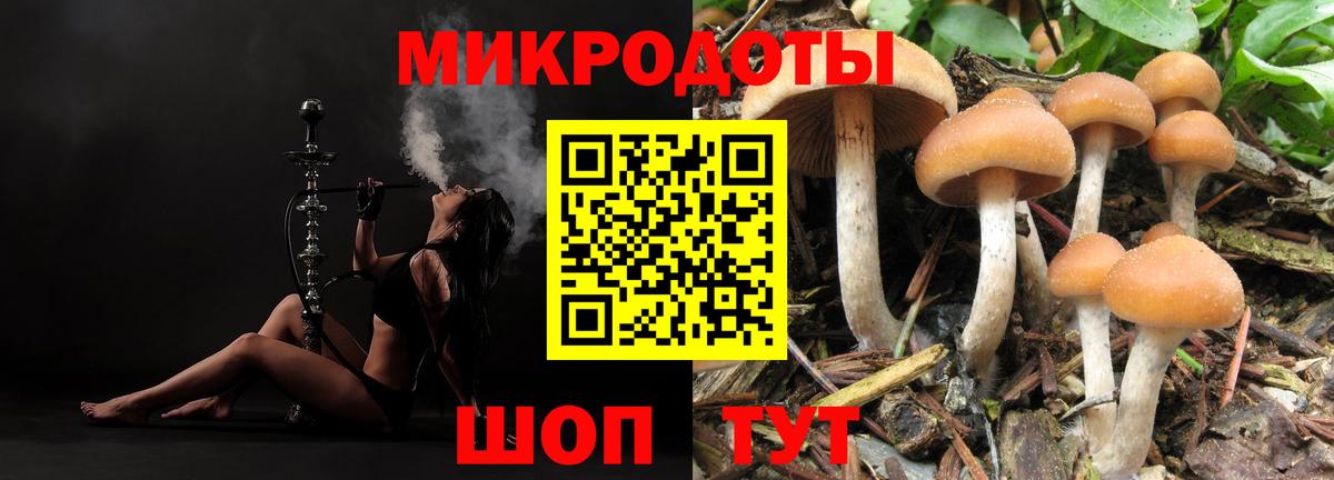 Псилоцибиновые грибы GOLDEN TEACHER Анапа